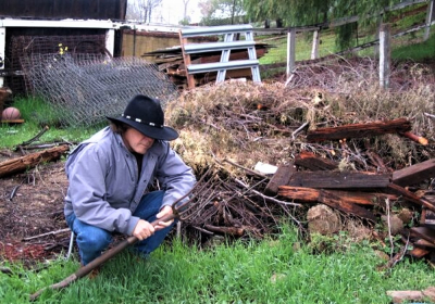 Timo yard work
